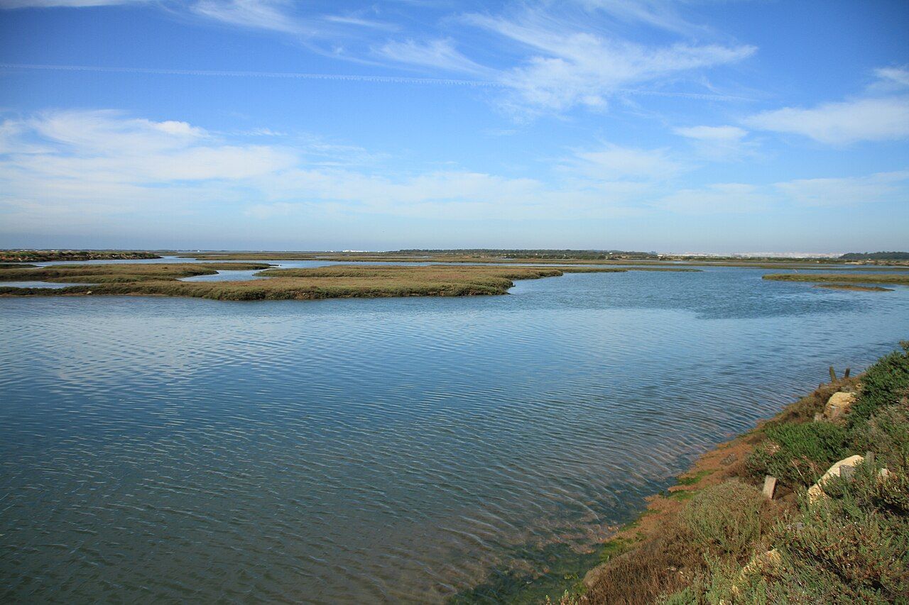 Caños y marismas del Parque Natural Bahía de Cádiz