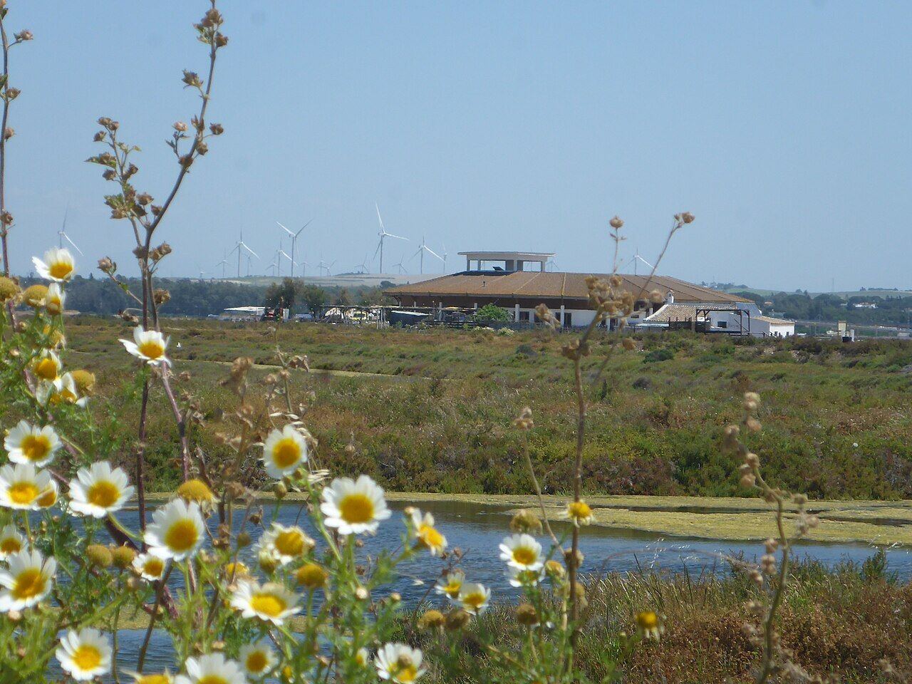 Salina de Santa María de Jesús, con los esteros y el centro de visitantes al fondo